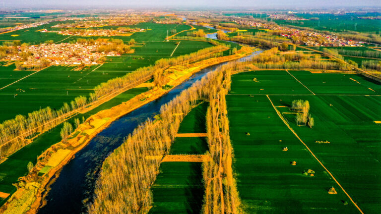 Bian Weimin - Landscape-in-Seasons-10